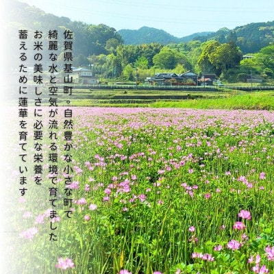 【令和7年新米】ちぎり米 5kg(「さがびより」、「ヒノヒカリ」、「夢しずく」から1種類 選択不可)