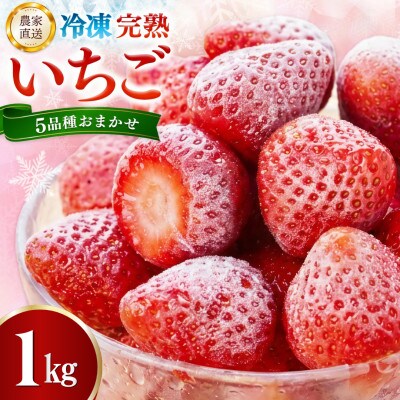 【農家直送】佐賀県基山町産 冷凍完熟いちご 約1kg(5品種おまかせ)