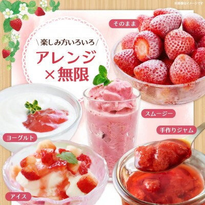 【農家直送】佐賀県基山町産 冷凍完熟いちご 約1kg(5品種おまかせ)