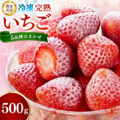 【農家直送】佐賀県基山町産 冷凍完熟いちご 約500g(5品種おまかせ)
