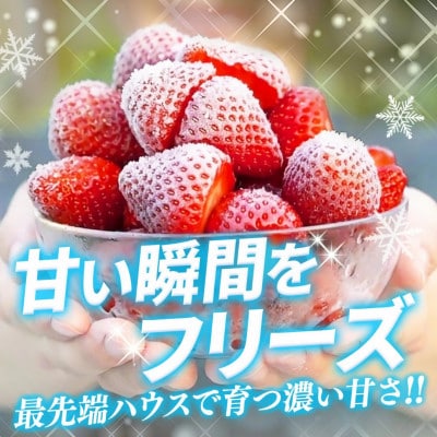 【農家直送】佐賀県基山町産 冷凍完熟いちご 約500g(5品種おまかせ)