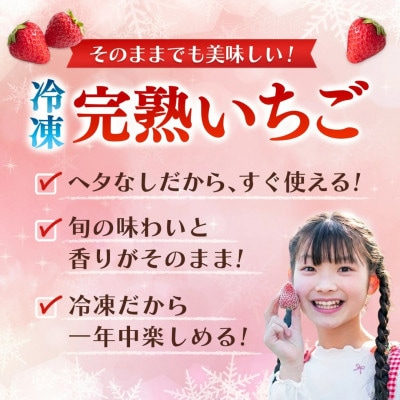 【農家直送】佐賀県基山町産 冷凍完熟いちご 約500g(5品種おまかせ)