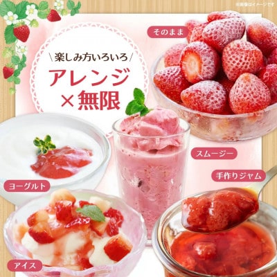 【農家直送】佐賀県基山町産 冷凍完熟いちご 約500g(5品種おまかせ)