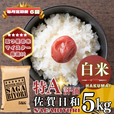 【毎月定期便】さがびより白米5kg(基山町)全6回