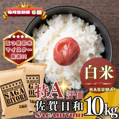 �y��������ցz�����т�蔒��10kg(5kg×2��)(��R��)�S6��