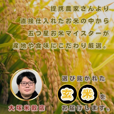 【毎月定期便】【玄米】さがびより5kg(基山町)全3回