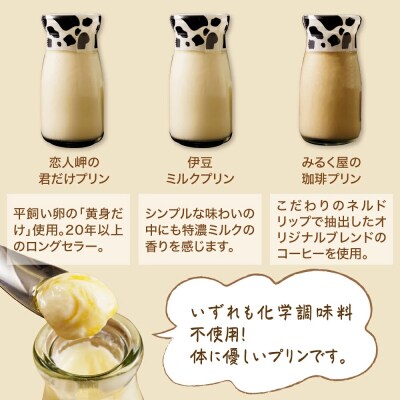 大木乳業【プリン3種&土肥びわパウンドケーキ】セット