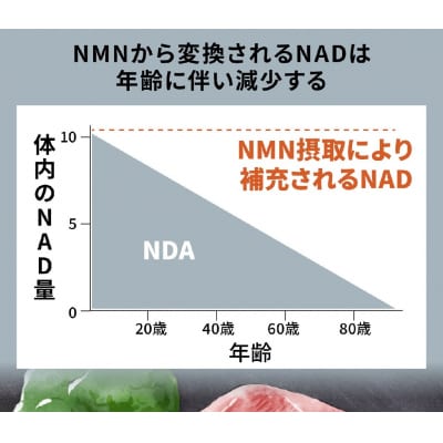 100年時代応援サプリ　NMN15000×3か月分
