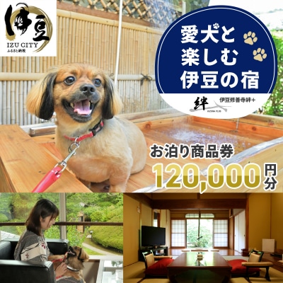 本格会席と源泉の湯　修善寺絆+　お泊り商品券120,000円分