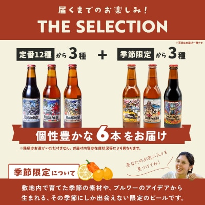 【TVで紹介!】伊豆 ベアードビール おすすめ6本セット(定番3種・季節限定3種) クラフトビール