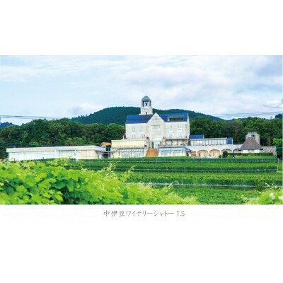 【中伊豆ワイナリー】甘口ワインで贅沢な女子会セット