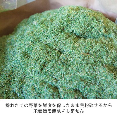 シリーズ累計販売数11億杯を突破した美味しく続けやすい「青汁三昧」×10か月分