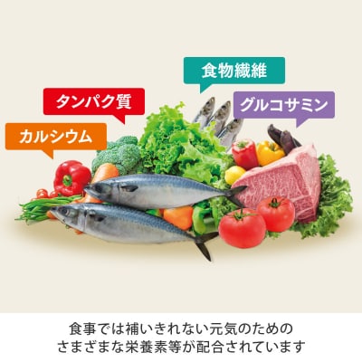 からだの素となるたんぱく質や栄養素が気軽に摂れる健康食品「からだの素材」×5か月分