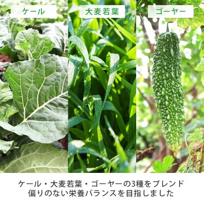 シリーズ累計販売数11億杯を突破した「青汁三昧」に乳酸菌200億個配合。「青汁三昧M-1」10か月分