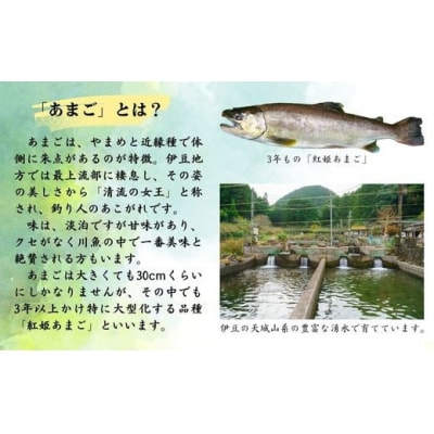 あまごの黄金イクラ(白醤油づけ)