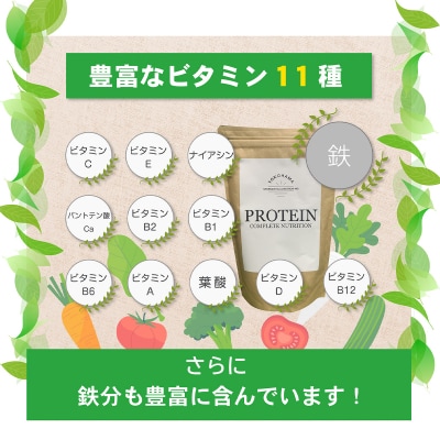 【賞味期限26/1/31】1ヶ月分 ホエイプロテインパウダー チョコレート風味 ドリンク メンテ