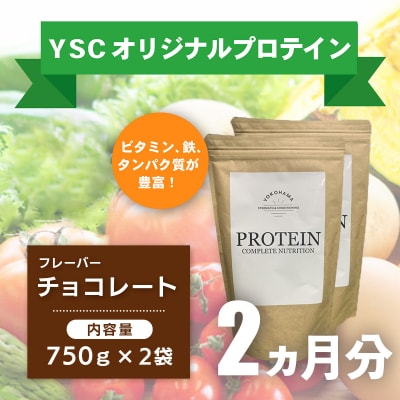 2ヶ月分 ホエイプロテインパウダー チョコレート風味 ドリンク メンテナンス ホエイ 健康 体 維持