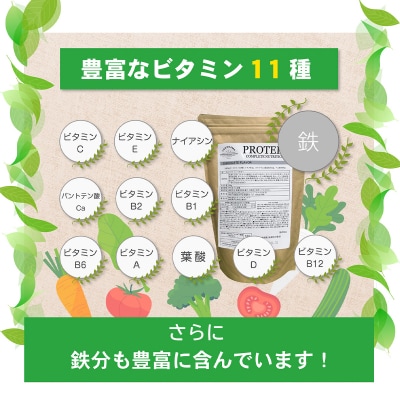 YSCホエイプロテインパウダー(チョコレート風味)500g×2袋