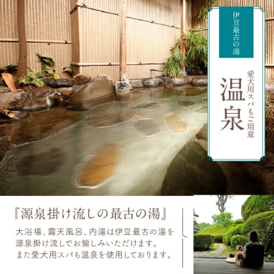 修善寺温泉 修善寺絆+ 愛犬と一緒にお泊り 商品券 30,000円分