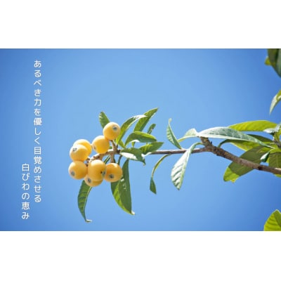 【自然療法 サロンミモザ】白びわ葉 エキス配合 ほわっと びわ 石鹸 1個 (100g)