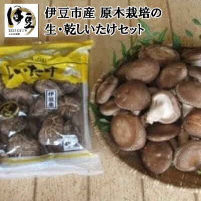 栽培期間中、無農薬&無肥料  原木栽培の生・乾しいたけセット