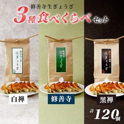 修善寺 生 ぎょうざ 3種 食べくらべ セット 餃子 (冷凍) 120個