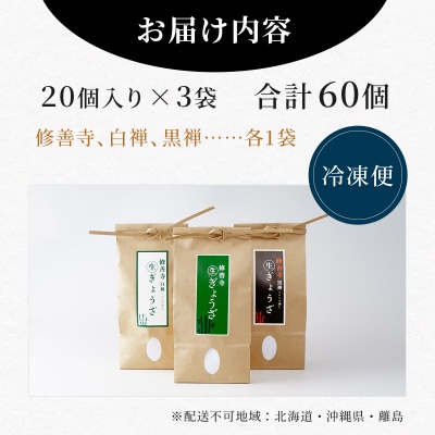 修善寺 生 ぎょうざ 3種 食べくらべ セット 餃子 (冷凍) 60個