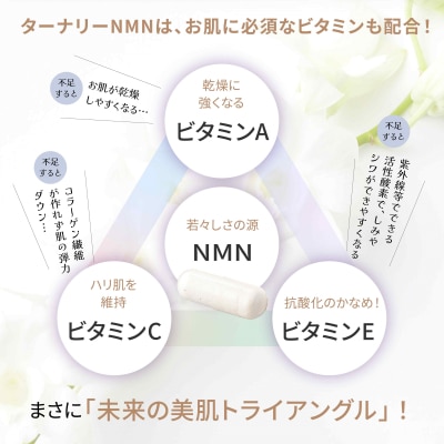 ターナリーNMN(60粒入パウチ)×2袋