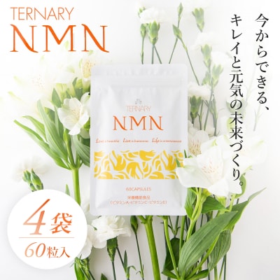ターナリーNMN(60粒入パウチ)×4袋