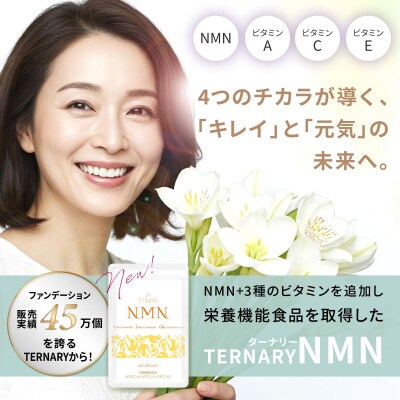 ターナリーNMN(60粒入パウチ)×4袋