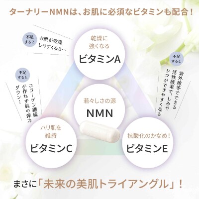 ターナリーNMN(60粒入パウチ)×4袋