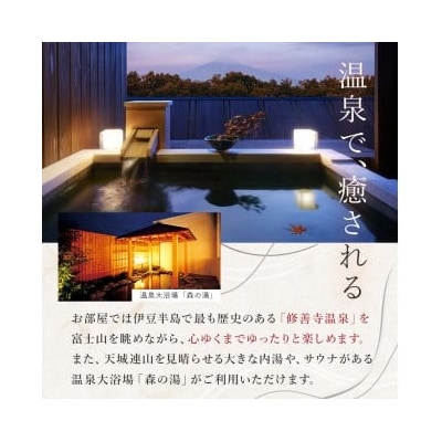 ラフォーレ修善寺「山紫水明」宿泊補助券 120,000円分
