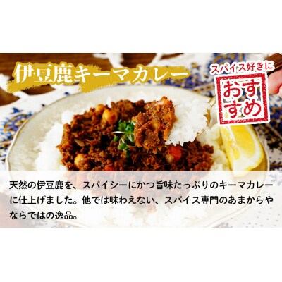 7月下旬以降順次発送【あまからや オリジナル ご馳走カレーセット】チキンカレー (460g×2) 