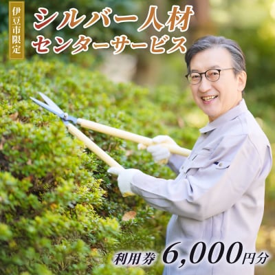 �ɓ��s�V���o�[�l�ރZ���^�[�T�[�r�X���p��6,000�~��