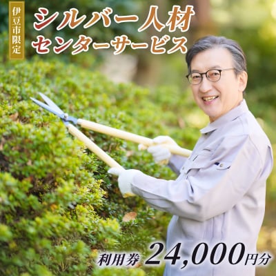 �ɓ��s�V���o�[�l�ރZ���^�[�T�[�r�X���p��24,000�~��