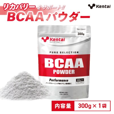 【健康体力研究所】BCAAパウダー(300g×1袋)| アミノ酸 補給 筋肉 サポート
