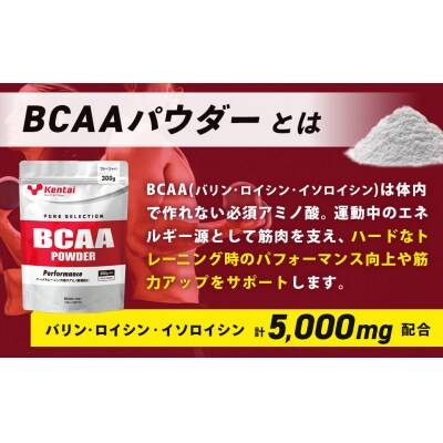 【健康体力研究所】BCAAパウダー(300g×1袋)| アミノ酸 補給 筋肉 サポート