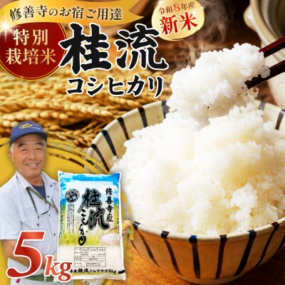 米 修善寺産 桂流こしひかり 5kg < 令和8年産 >