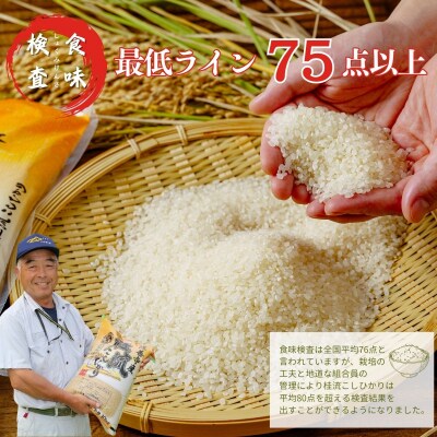米 修善寺産 桂流こしひかり 5kg < 令和8年産 >