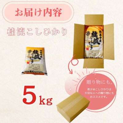 静岡 伊豆 修善寺 産【 桂流 こしひかり 】 5kg ×1袋 数量限定