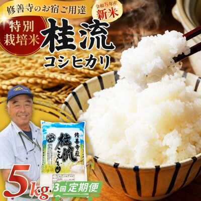 【3回定期便】米 修善寺産 桂流こしひかり 5kg < 令和8年産 >