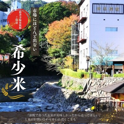 定期便(全3回)修善寺桂流こしひかり5kg【 コシヒカリ 白米 お米 精米 国産 米 ごはん 特別