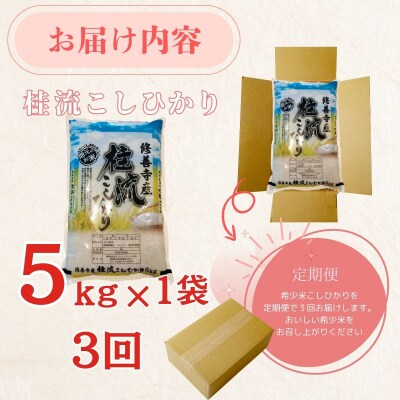 【3回定期便】米 修善寺産 桂流こしひかり 5kg < 令和8年産 >