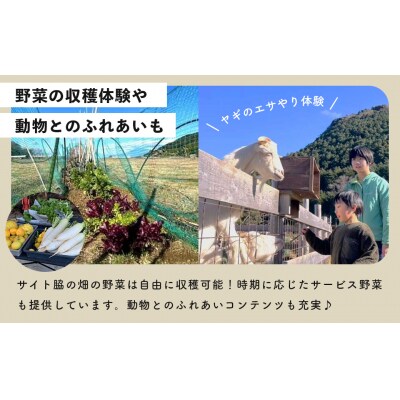 【伊豆キャンファーム】オートサイト利用補助券3,000円分|富士山と海が見える絶景のロケーション!静