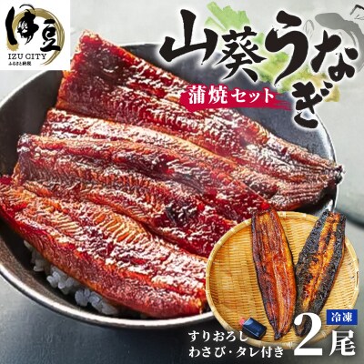 山葵うなぎ　蒲焼2尾セット(わさび・タレ付き)
