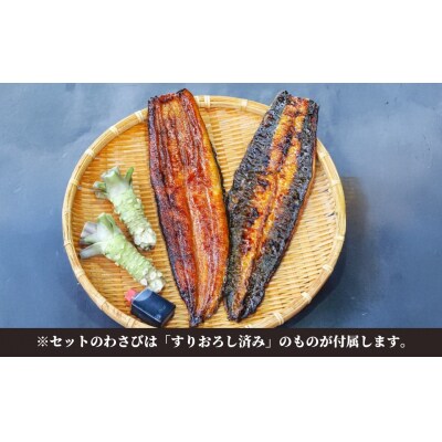 山葵うなぎ　蒲焼2尾セット(わさび・タレ付き)