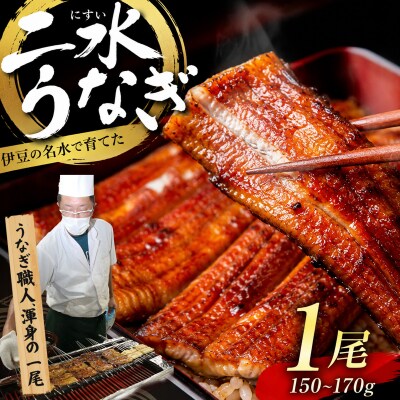 【自宅用】二水うなぎ 蒲焼1尾(150-170g)