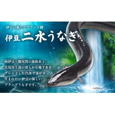 【自宅用】二水うなぎ 蒲焼1尾(150-170g)