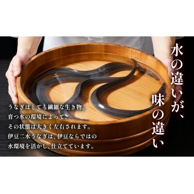 【自宅用】二水うなぎ 蒲焼1尾(150-170g)