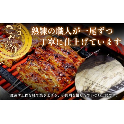 【自宅用】二水うなぎ 蒲焼1尾(150-170g)